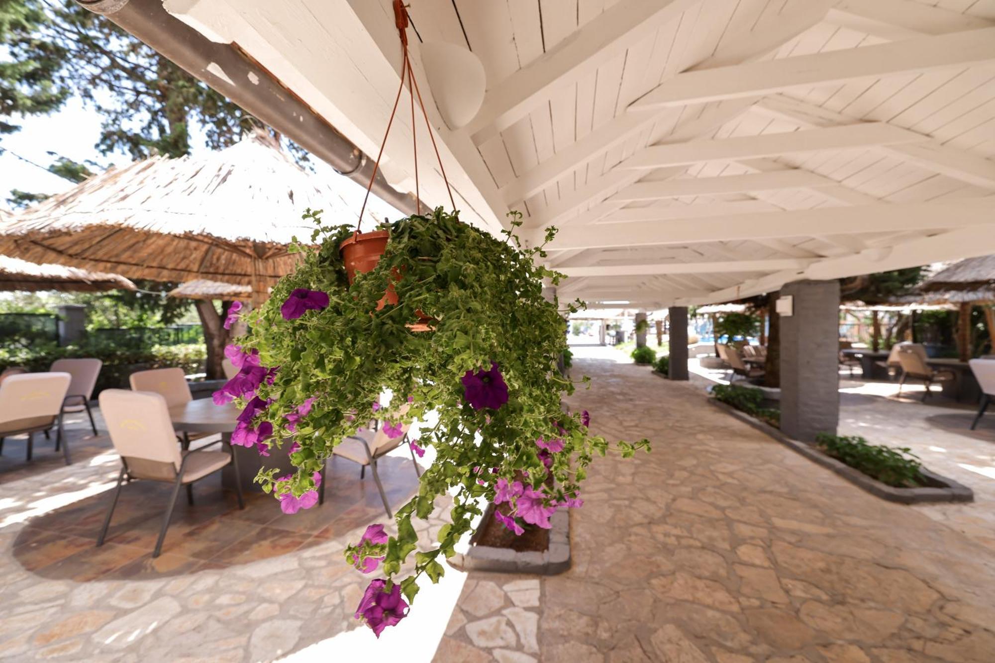 Tribunia Beach Hotel Tribunj  Luaran gambar